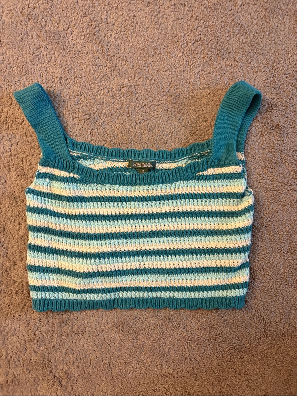 wild fable Teal and Cream Striped Knit Crop Top
